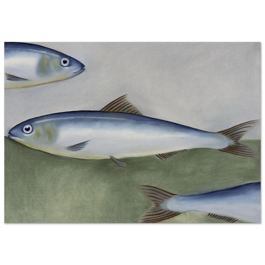 d13f80bb-15fc-4580-8006-9e09a37ed2b8