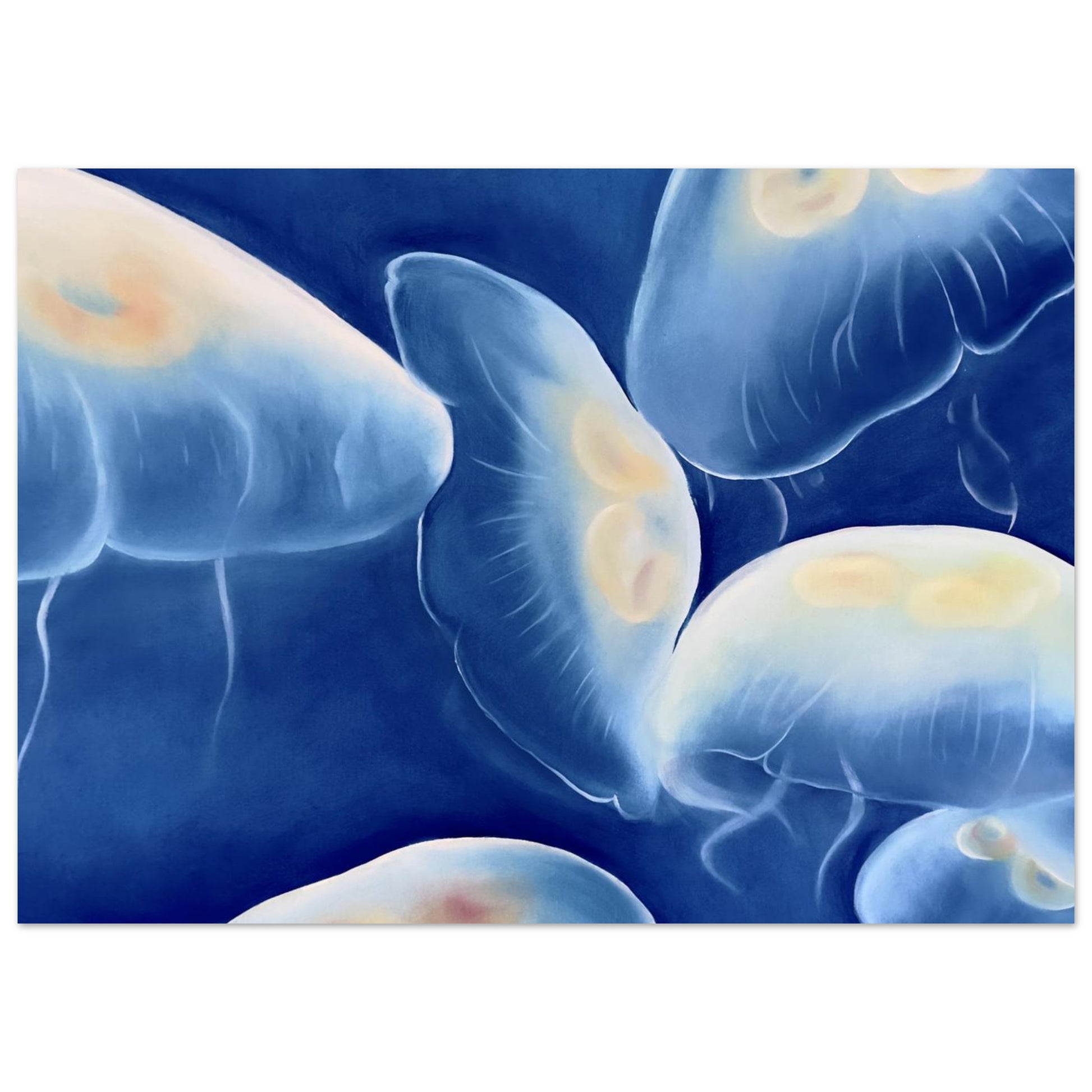 425802a9-5089-432a-9a59-c69aa9e21d11