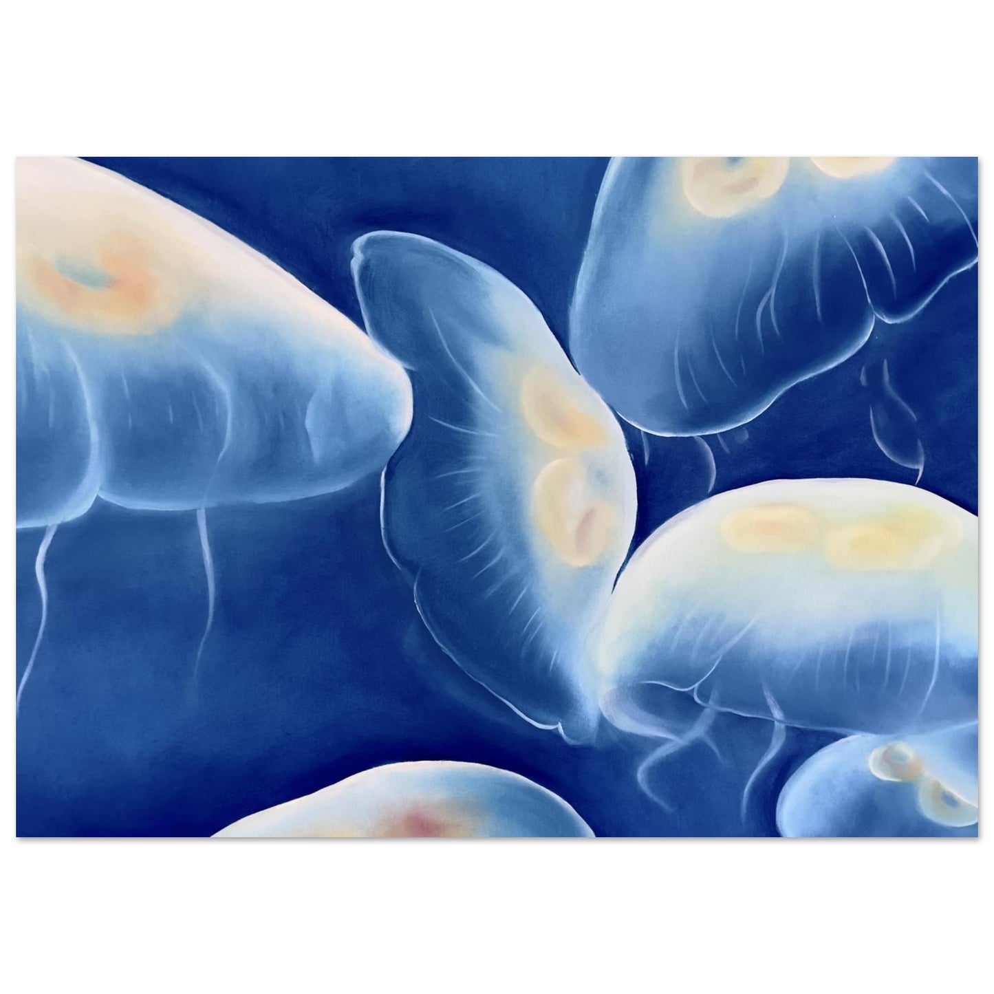 5269cf28-0cb0-4b9b-bd98-249d6f871f0f