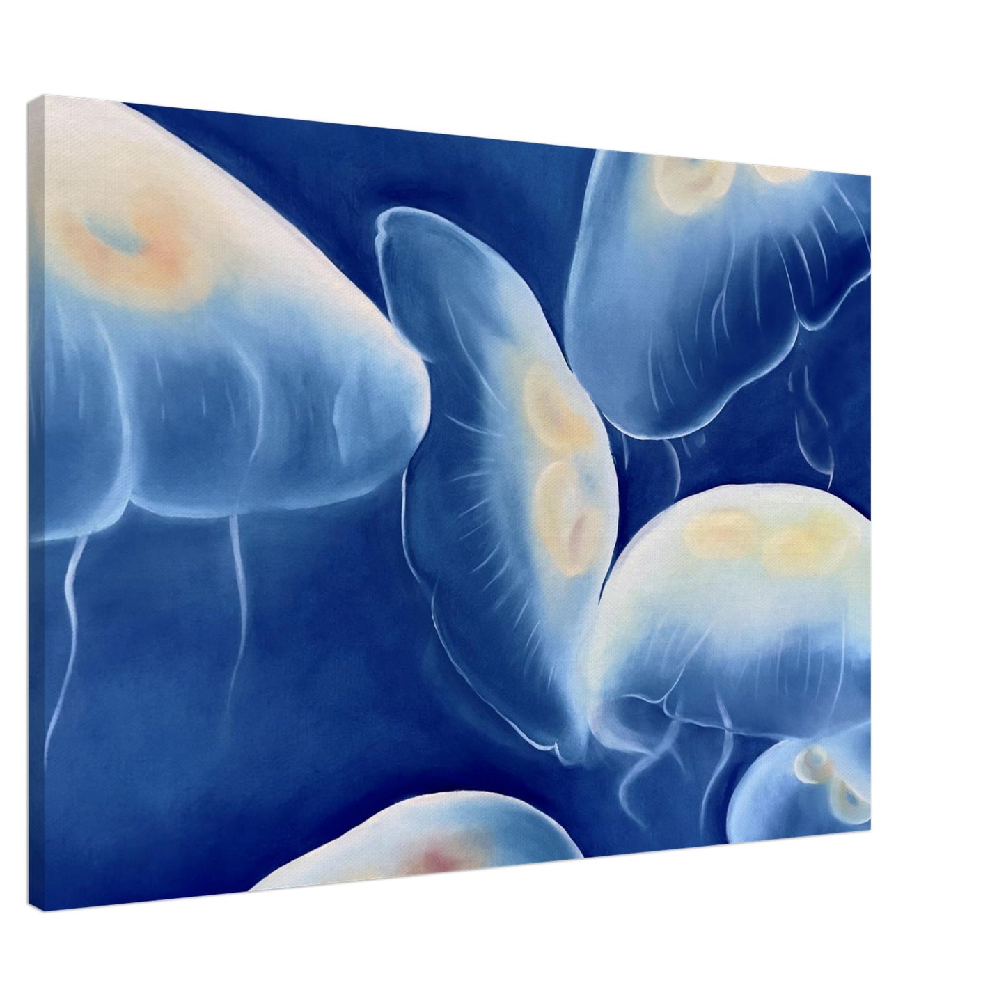 5a123e87-8a1e-463c-aef8-2daadc98dacb