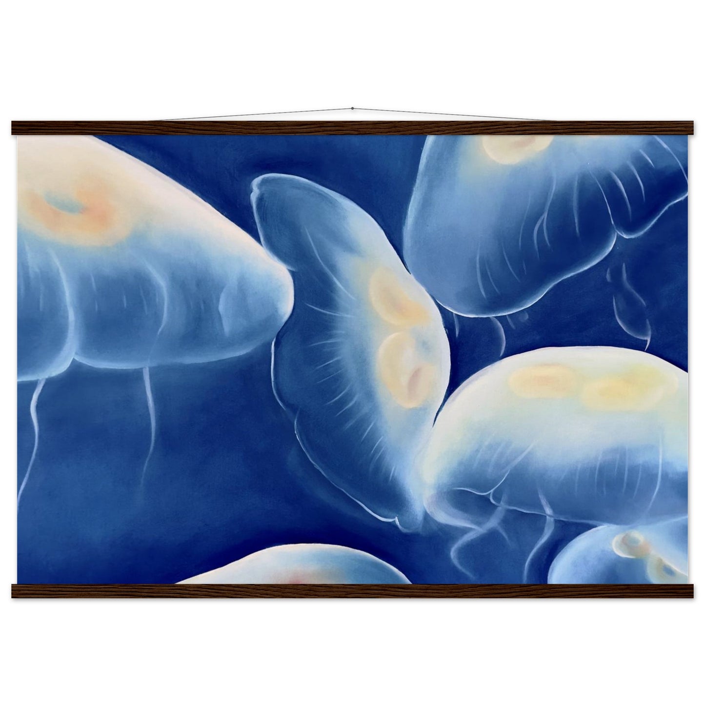 8ee9e972-bf6d-45f9-a61e-60fc5782a3ae