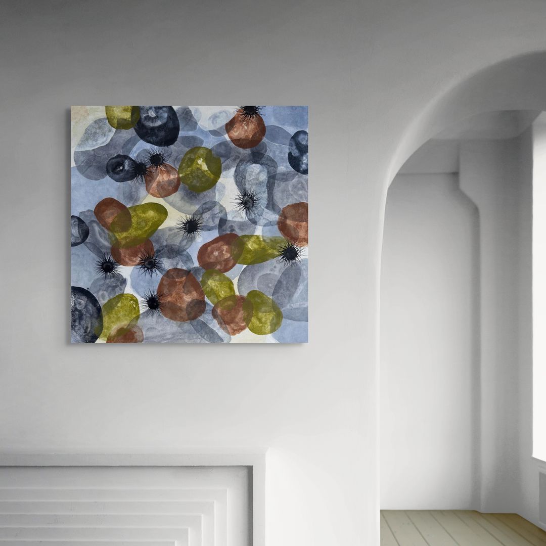 Urchines of Cala Crit